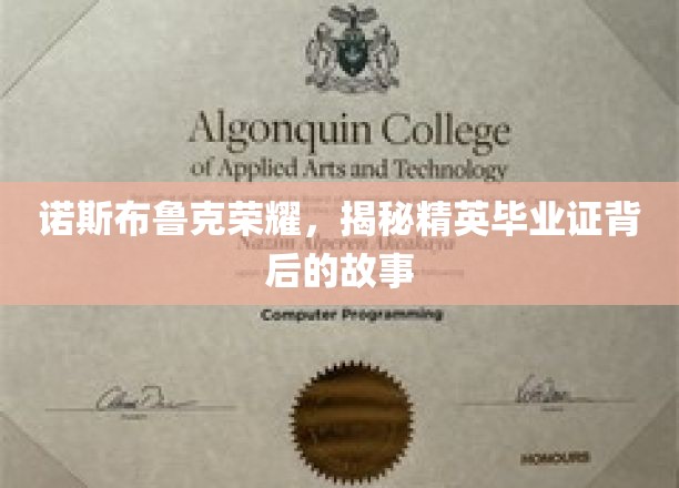 探寻诺斯布鲁克荣耀，精英毕业证背后的不凡历程