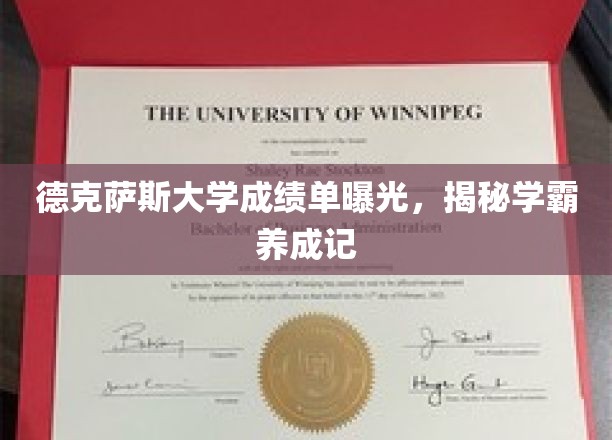 德克萨斯学霸风云录，揭秘高分背后的养成奥秘