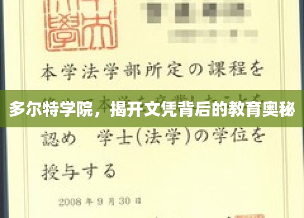 探秘多尔特学院，文凭背后的教育真谛揭晓