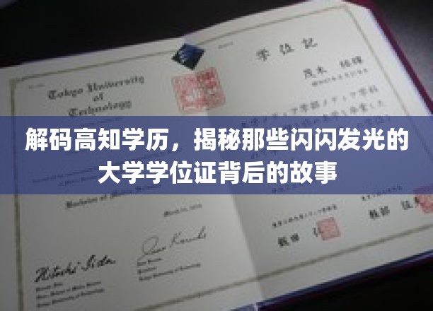 解锁精英学位，探秘高学历背后的璀璨人生轨迹
