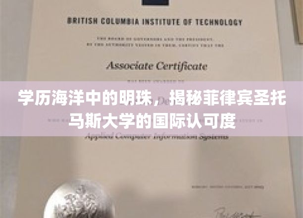 学历海洋中的明珠，揭秘菲律宾圣托马斯大学的国际认可度