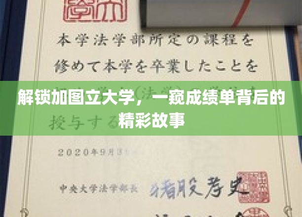 探索加图立大学，一窥成绩单背后的精彩故事