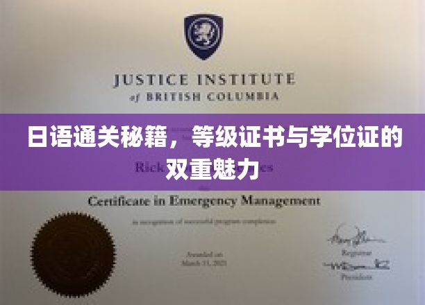 日语通关秘籍，等级证书与学位证的双重魅力