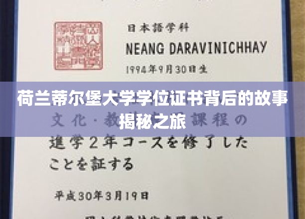 探索荷兰蒂尔堡大学学位证书的神秘之旅