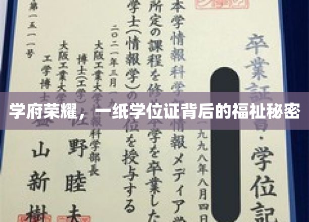 学位成就，揭秘学历背后的无限可能