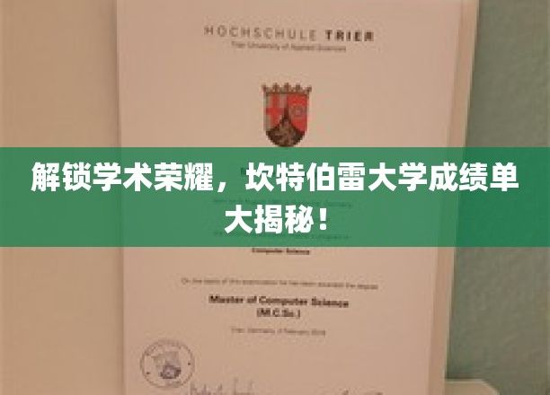 探秘学术巅峰，坎特伯雷大学学子成绩单背后的故事
