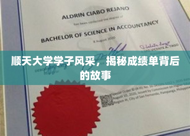 顺天大学学子风采，揭秘成绩单背后的故事
