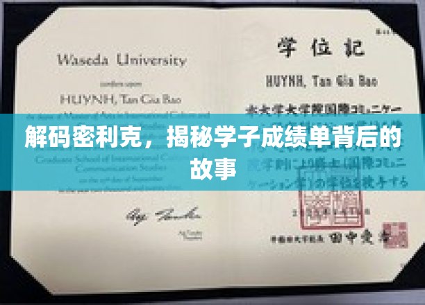 解锁学子成绩单，密利克的成长密码