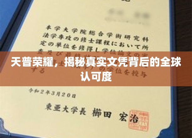天普荣耀探秘，国际文凭的全球通行证之谜