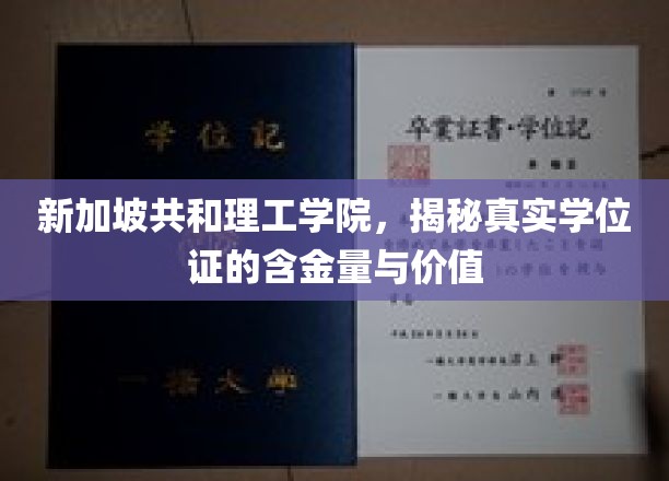 新加坡共和理工学院学位证背后的含金量与真实价值探秘