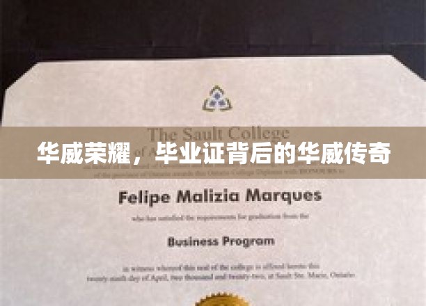 揭秘华威荣耀，毕业证背后的传奇故事