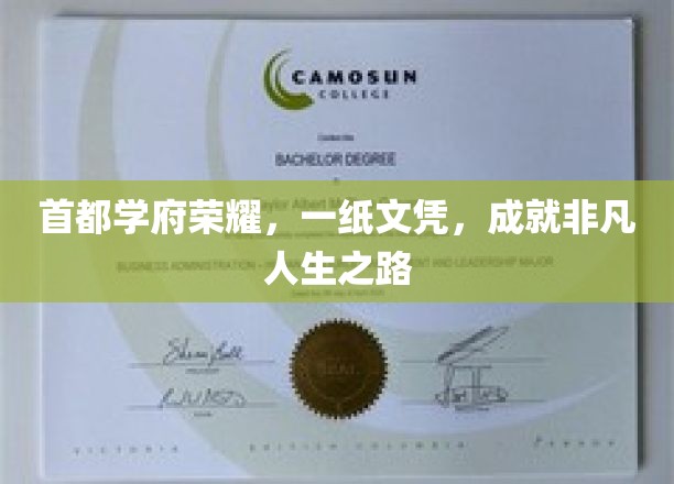 京城名校荣耀见证，文凭铸就非凡人生阶梯