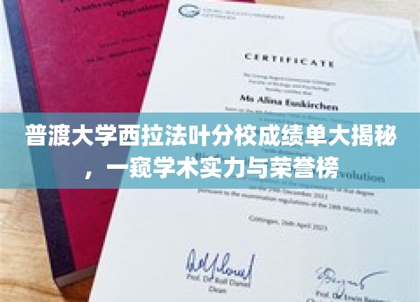 普渡大学西拉法叶分校成绩单大揭秘，一窥学术实力与荣誉榜