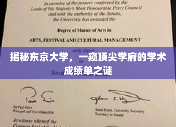 揭秘东京大学，一探顶尖学府的学术成绩单之谜