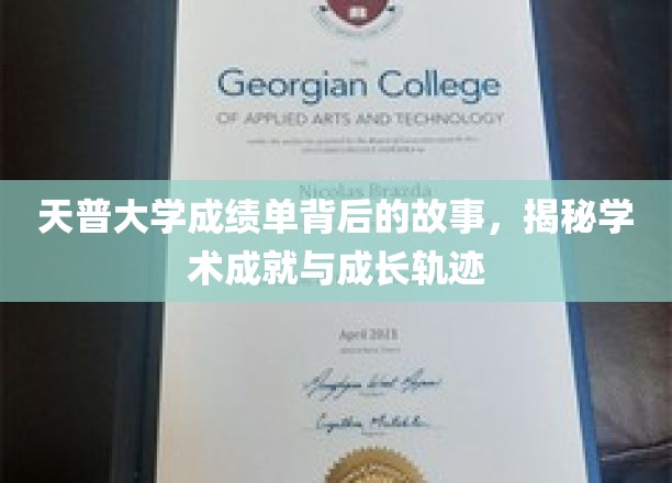 天普大学成绩单，探寻学子成就与成长之路的幕后传奇
