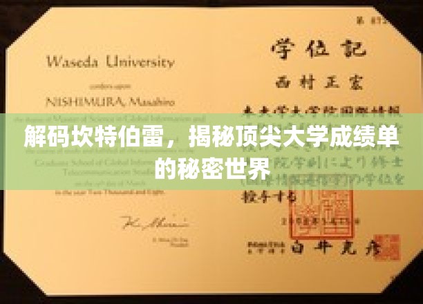 解码精英学府，坎特伯雷大学成绩单背后的传奇故事