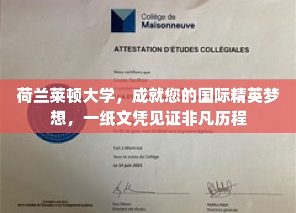 荷兰莱顿大学，成就您的国际精英梦想，一纸文凭见证非凡历程