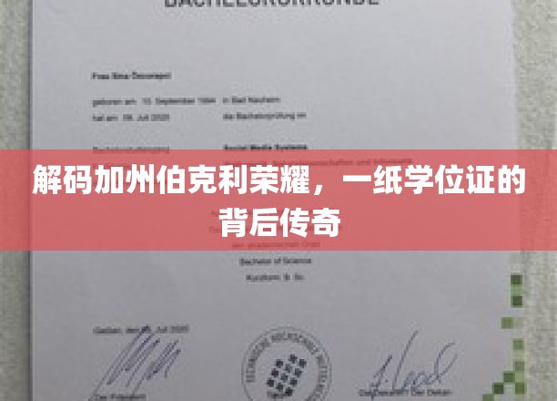 揭秘加州伯克利精英摇篮，学位背后的传奇之路