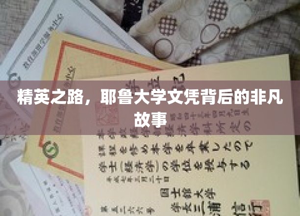 耶鲁荣耀，探寻精英背后的不凡历程