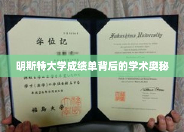 探寻明斯特大学成绩单背后的学术秘境