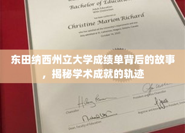东田纳西州立大学成绩单背后的故事，揭秘学术成就的轨迹