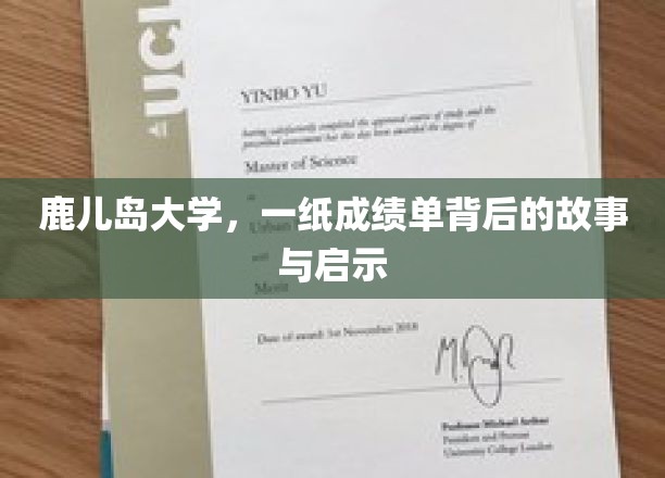 鹿儿岛大学，一纸成绩单背后的故事与启示