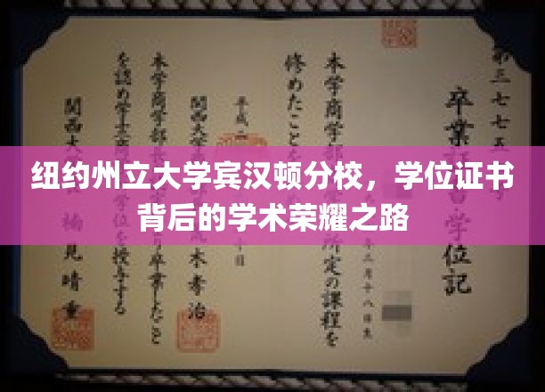 探寻纽约州立大学宾汉顿分校，学位证书背后的荣耀与挑战之旅