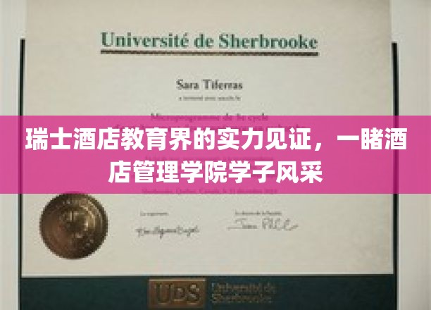 瑞士酒店学院新星闪耀，学子精英展现实力风采