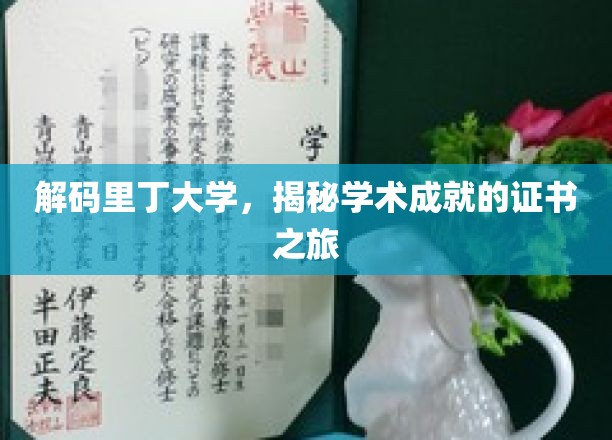 解码里丁大学，揭秘学术成就的证书之旅