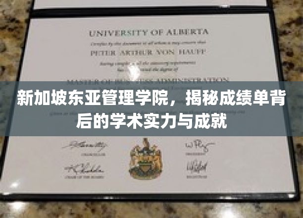 解码新加坡东亚管理学院，成绩单背后的卓越学术光芒
