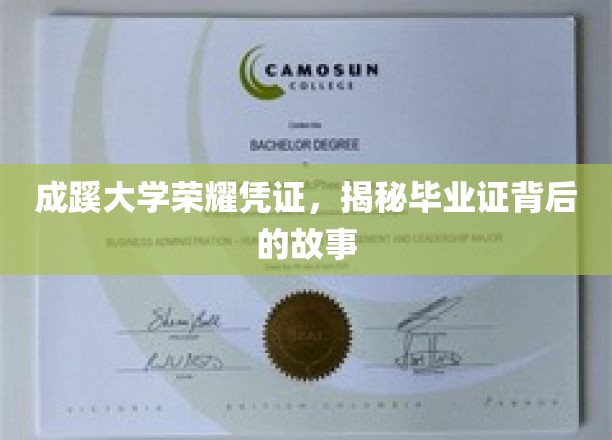 成蹊大学荣耀凭证，揭秘毕业证背后的故事