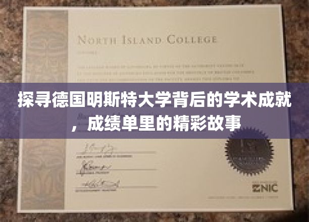 解码德国明斯特大学，成就背后的学术传奇之旅