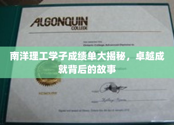 南洋理工学霸背后的秘密，揭秘成绩单背后的传奇之路