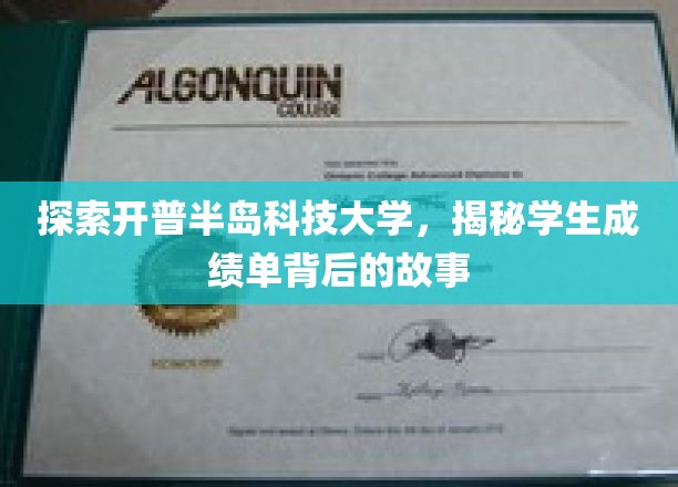 揭秘开普半岛科技大学，成绩单背后的成长轨迹