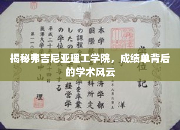 解码弗吉尼亚理工学院，成绩单映照下的学术世界风云录