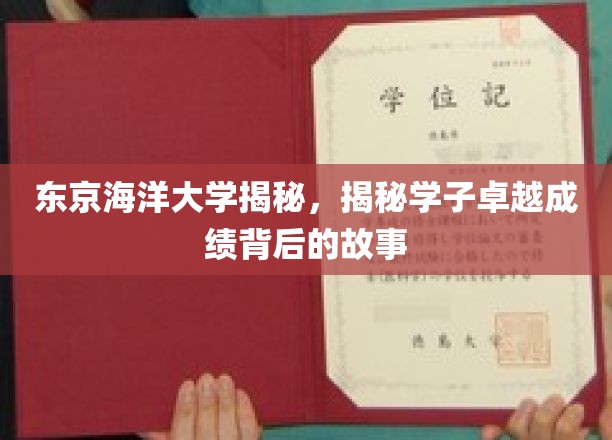 东京海洋学子传奇，揭秘卓越成绩背后的青春足迹
