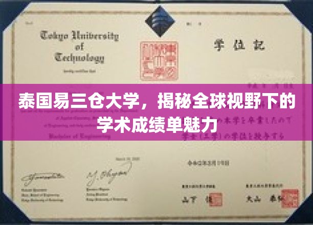 探索易三仓大学，国际视角下的卓越学术成就全景