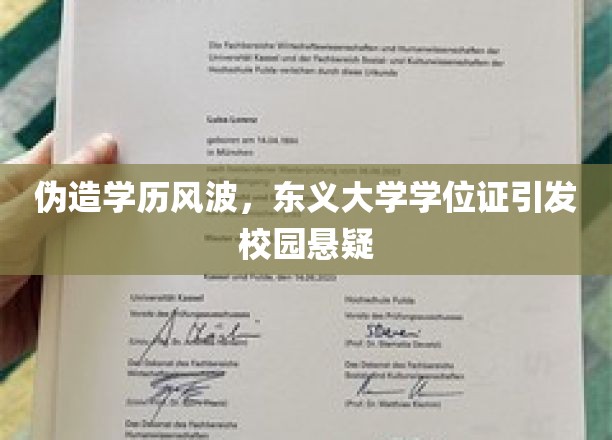 东义大学学历门，校园风云再起，真假学位成谜团